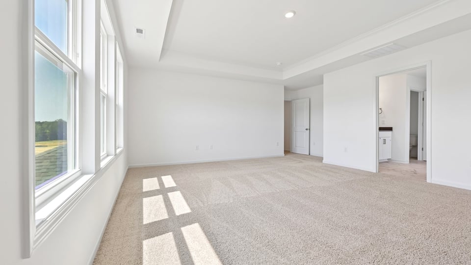 primary bedroom with tray ceiling and carpet flooring