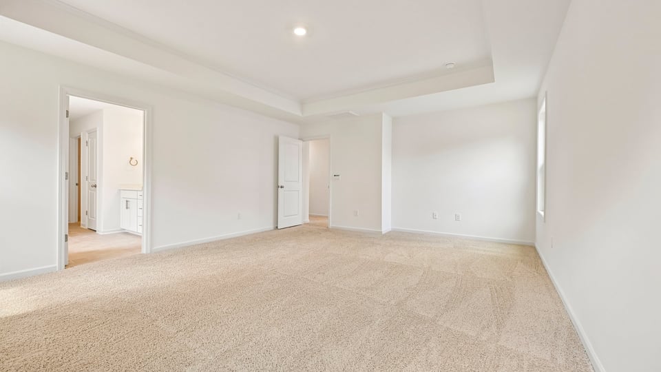 primary bedroom with tray ceiling