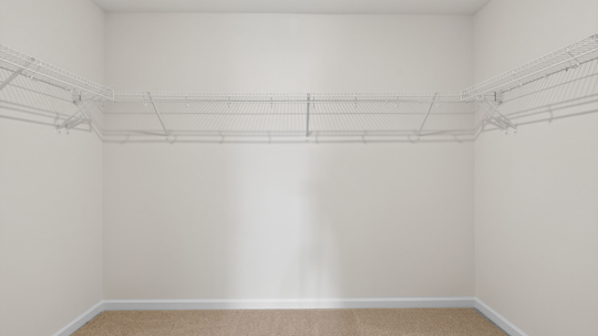 walk in closet with wire shelving