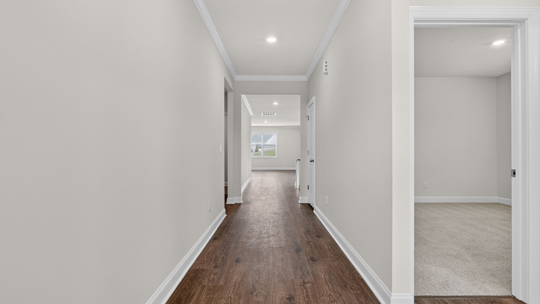 foyer entryway with revwood flooring