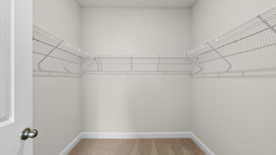walk in closet with wire shelving