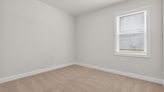 secondary bedroom with window and closet, carpeting