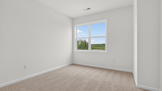 loft with carpet flooring