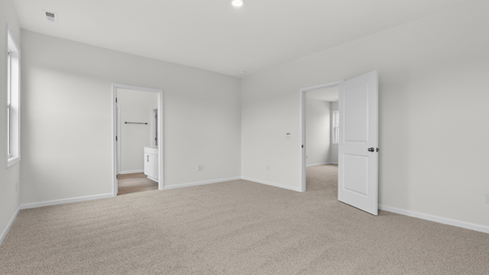 primary bedroom with carpet flooring