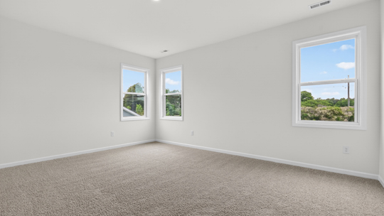 bedroom with carpet flooring