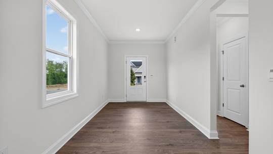 foyer entryway with revwood flooring