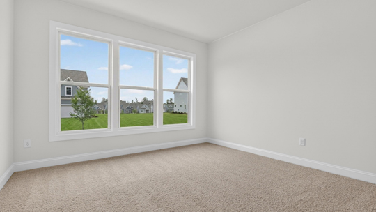 bedroom with carpet flooring