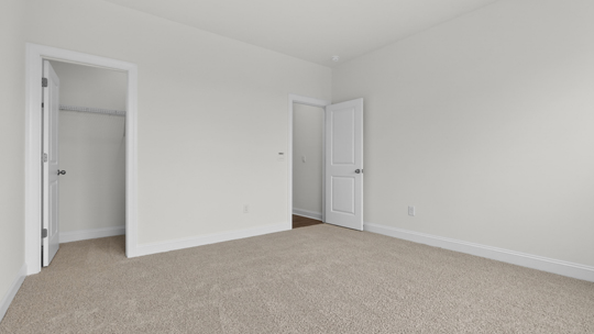 bedroom with walkin closets and carpet flooring