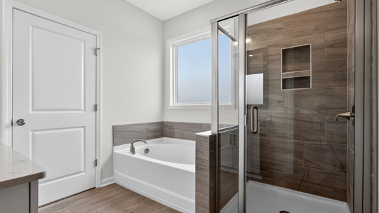 bathroom with separate tub and glass door walkin shower