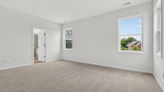 primary bedroom with carpet flooring