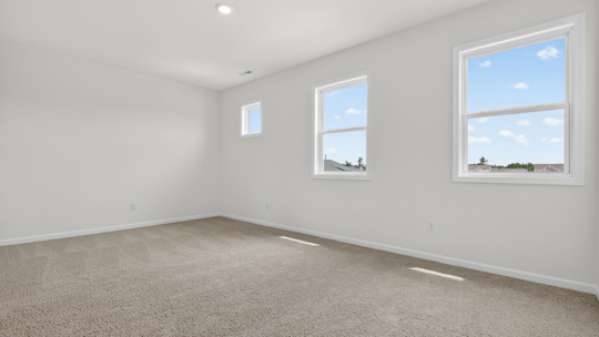 bedroom with carpet flooring