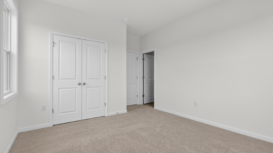 bedroom with carpet flooring