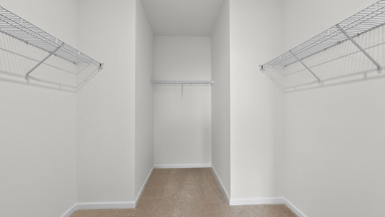 walkin closet with wire shelving