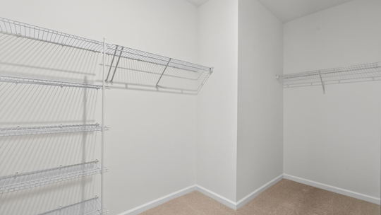 walkin closet with wire shelving