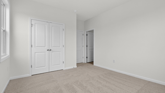 bedroom with carpet flooring