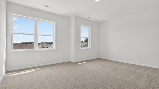 bedroom with carpet flooring