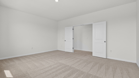 bonus room with carpet flooring
