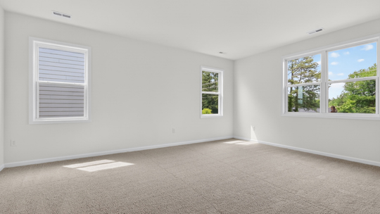 bonus room with carpet flooring