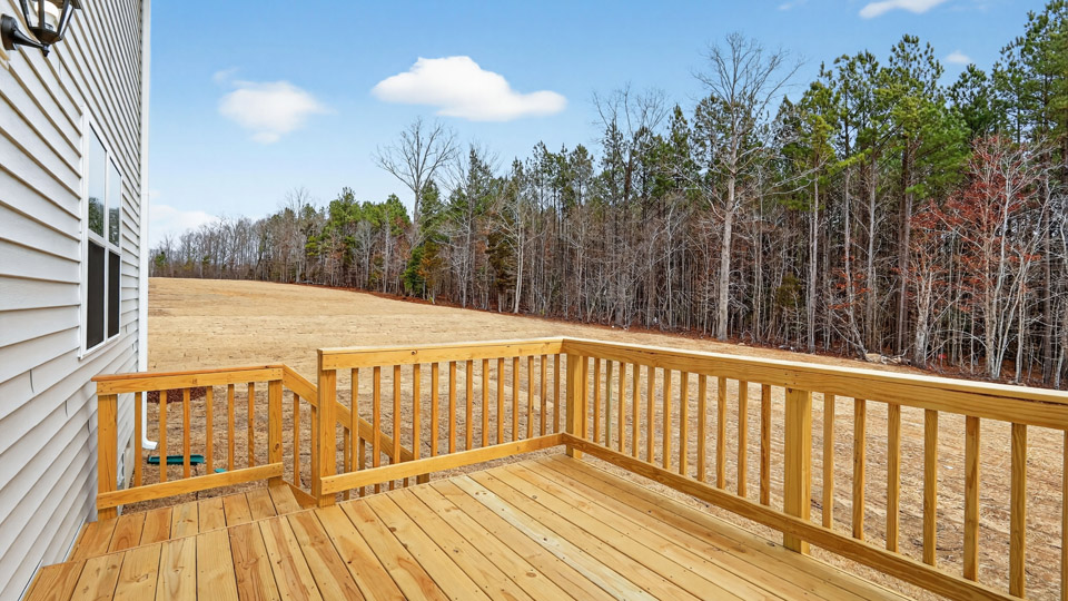 Back patio overlooking backyard
