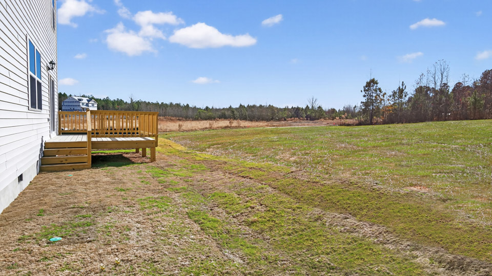 Back deck looking over backyard