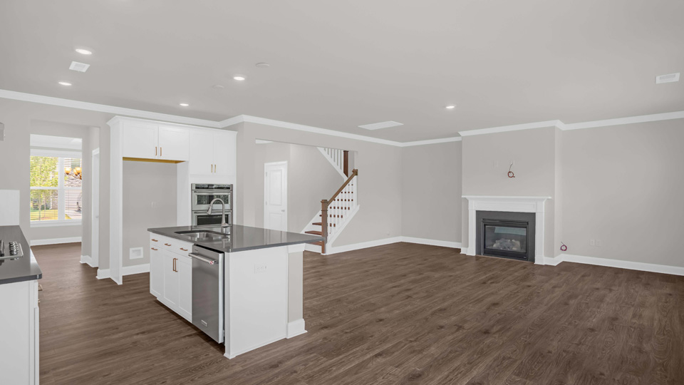 KITCHEN AND FAMILY ROOM