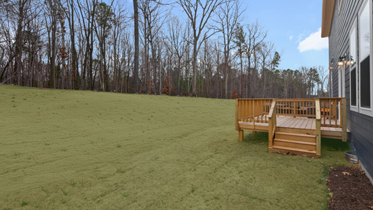 backyard with treeline