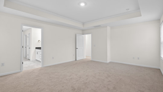 bedroom with carpet flooring and tray ceiling
