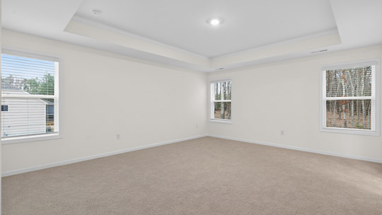 bedroom with carpet flooring and tray ceiling
