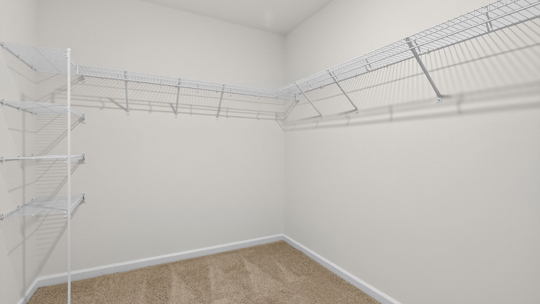 walkin closet with wire shelving