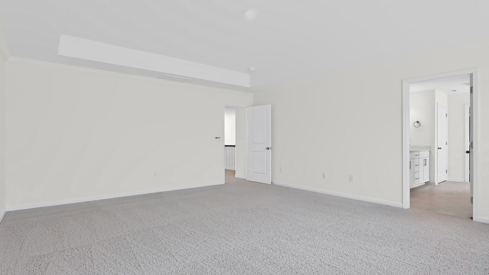 primary bedroom with tray ceiling and carpet flooring