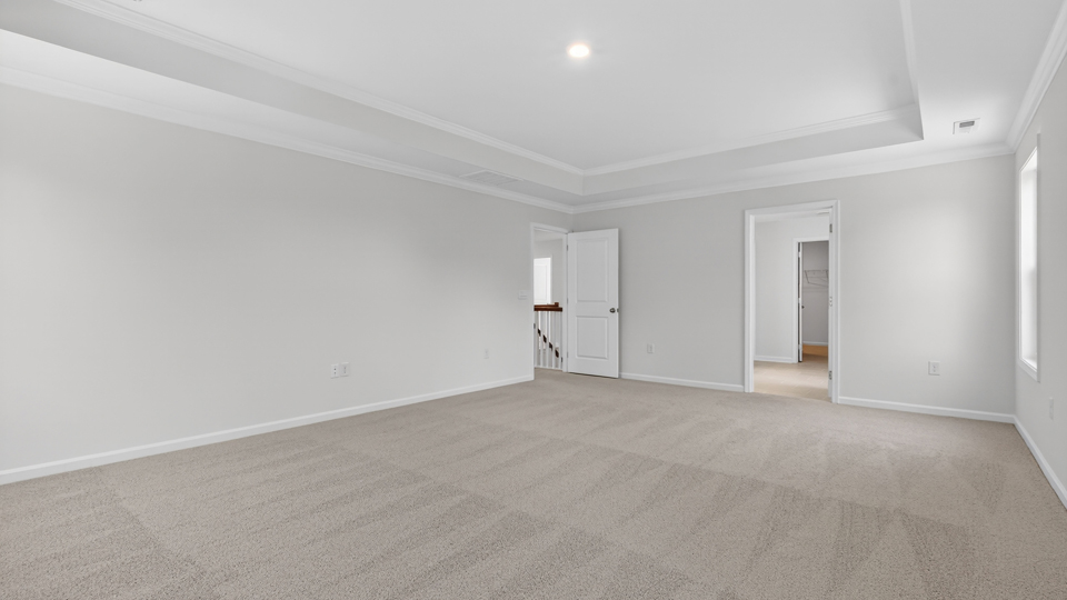 primary bedroom with tray ceiling