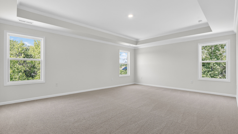 primary bedroom with tray ceiling