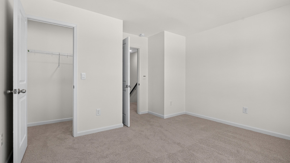 bedroom with walkin closet and carpet flooring
