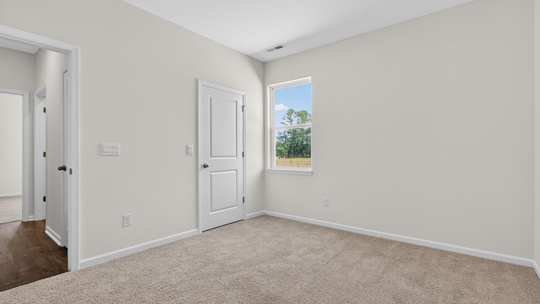 bedroom with carpet flooring