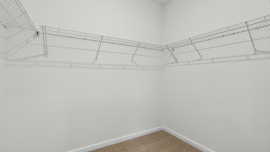 walk in closet with wire shelving
