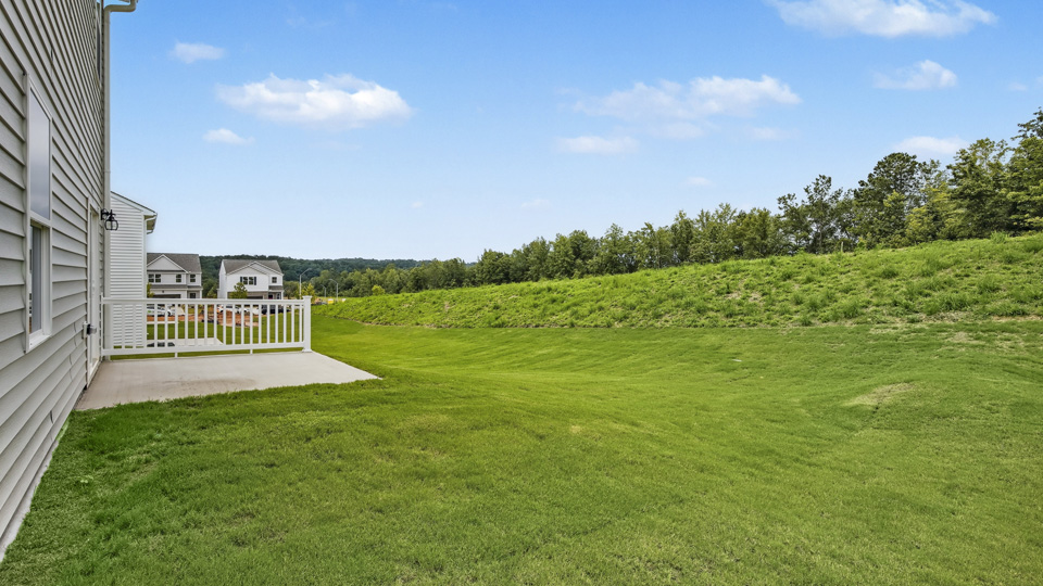 backyard with concrete patio