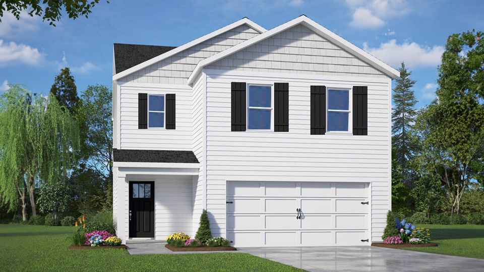 taylor d rendering