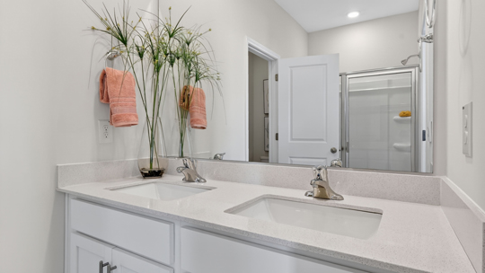 primary bathroom with walk in shower and dual vanity sinks
