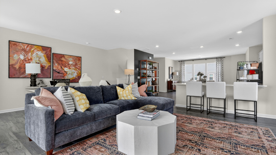 living room and kitchen