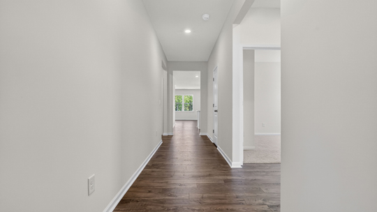 foyer entryway with revwood flooring