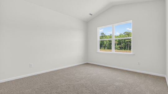 primary bedroom with carpet flooring and vaulted ceiling
