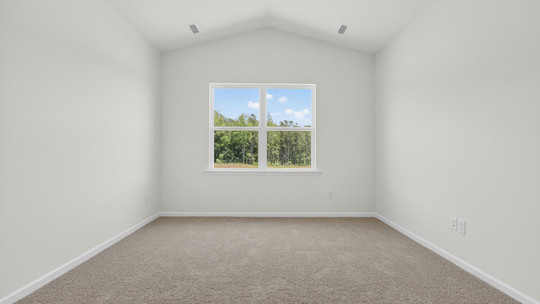 primary bedroom with carpet flooring and vaulted ceiling