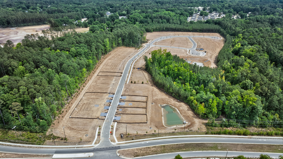 aerial photo of community