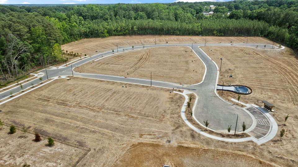 aerial photo of community