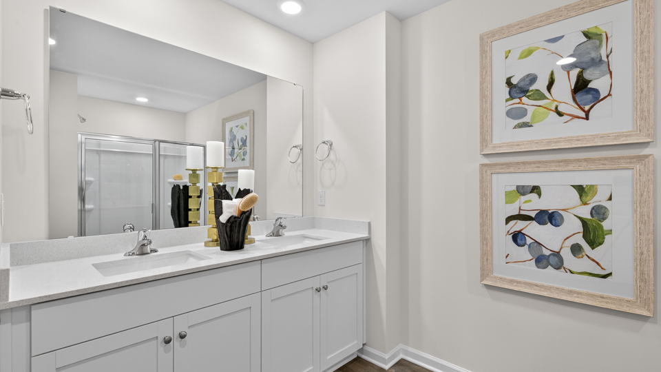 Primary bathroom