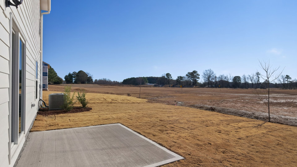 Back patio overlooking backyard