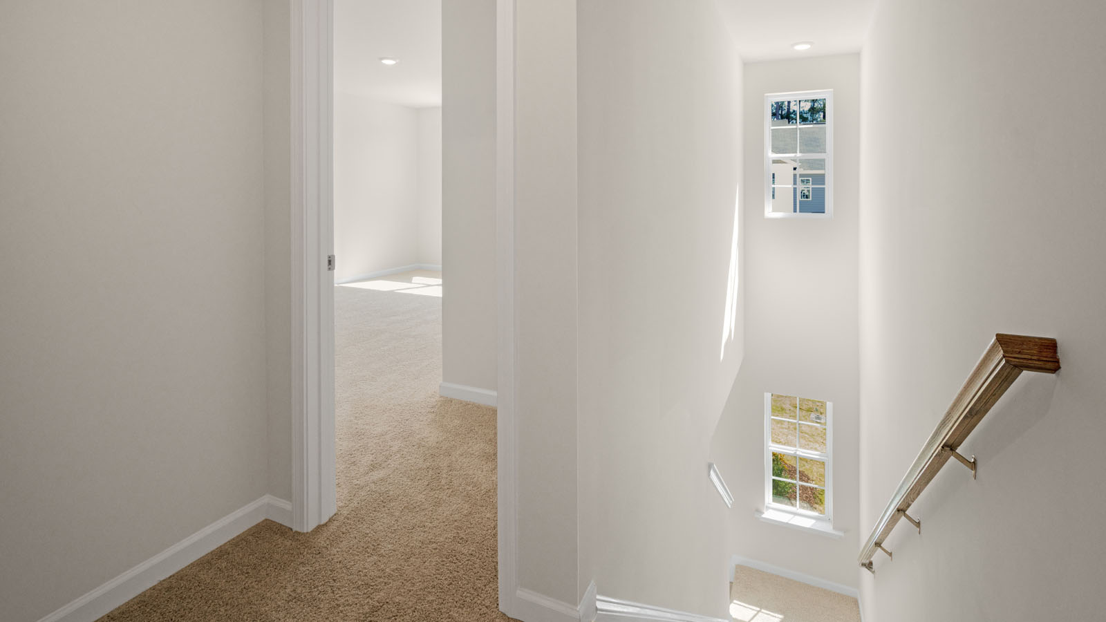 stairway with ample natural lighting