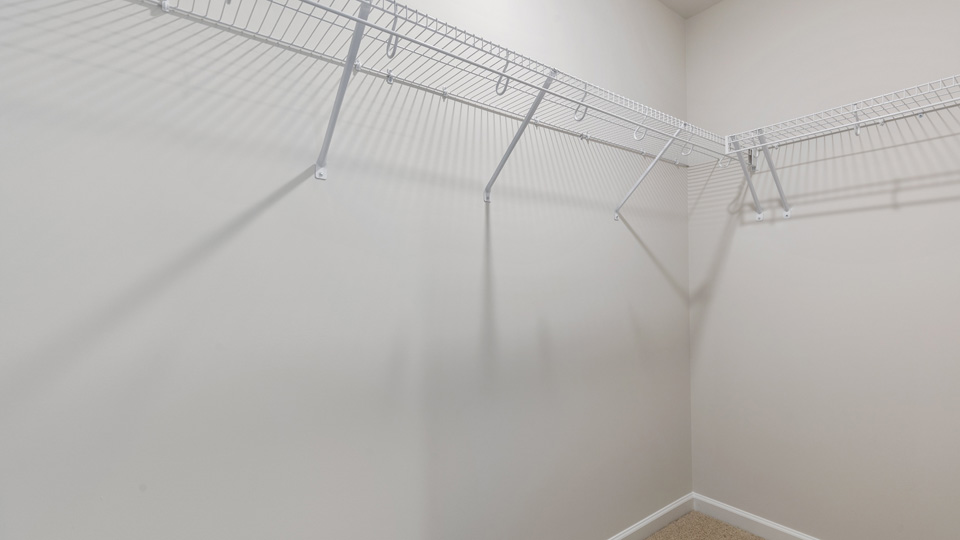 walk-in closet with carpet flooring