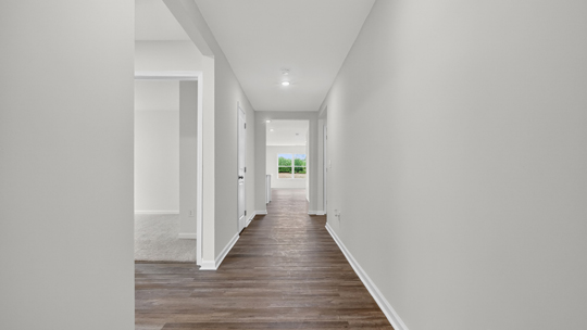 foyer entryway with revwood flooring