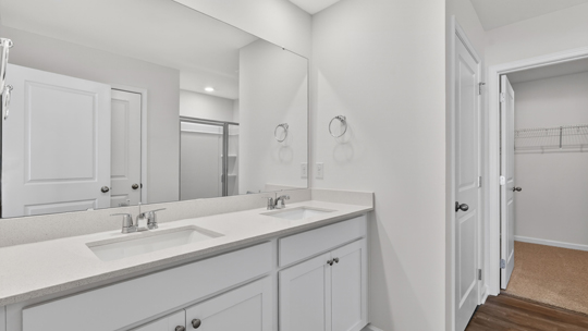 bathroom with dual vanity and walkin closet